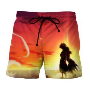 Fairy Tail Natsu And Lucy Sunset Back Hug Awesome Boardshort